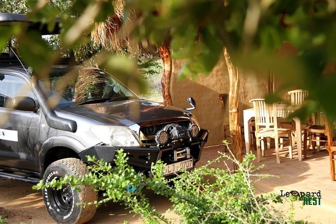 Exclusive : Overnight Leopard Safari with Luxury Glamping - Game drives with a ranger: how to get more out of each sighting chance