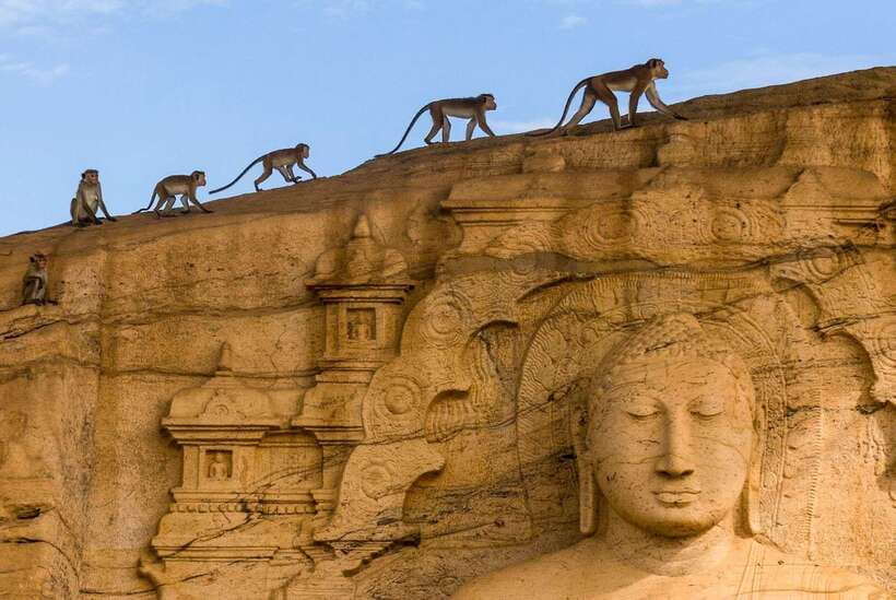 Exclusive: Sigiriya Fortress & Polonnaruwa Guided Tour - 10 hours from pickup to drop-off, with the heat handled for you