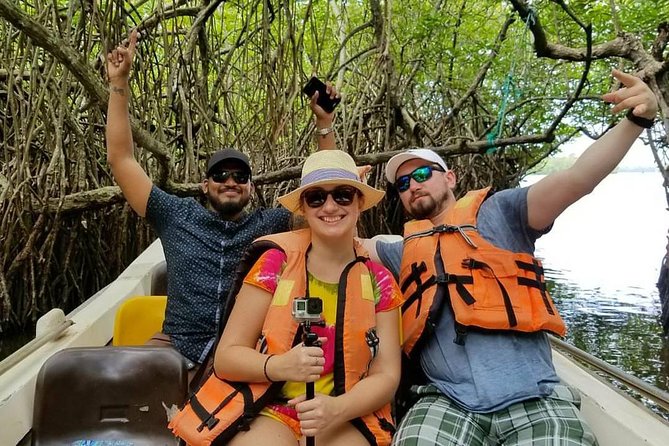 Exclusive: Southern Sri Lanka Sightseeing Private Day Trip - Who should book this Southern Sri Lanka day trip?