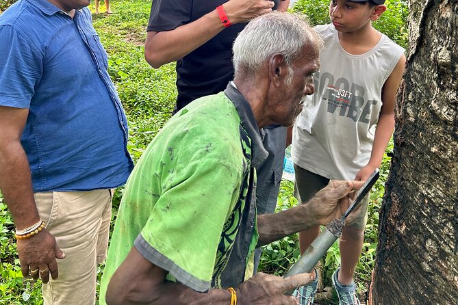 Explore Bentota Village: Guided Tuk Tuk Safari - Why a Bentota village tuk-tuk safari works so well