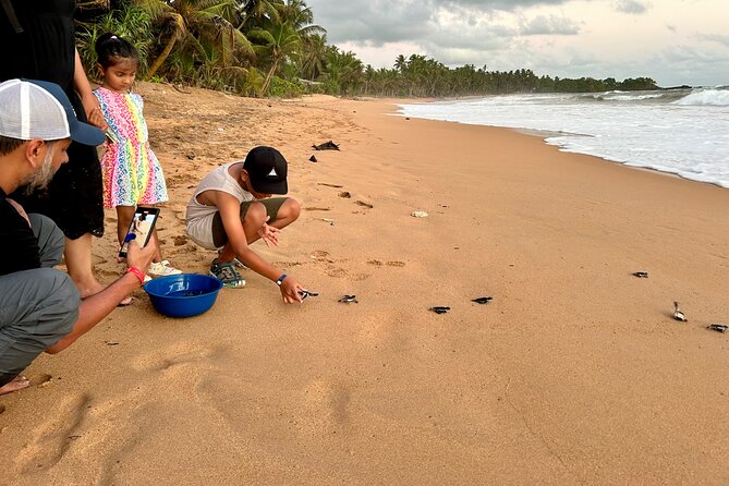 Explore Bentota Village: Guided Tuk Tuk Safari - Should you book this Bentota Village Guided Tuk-Tuk Safari?