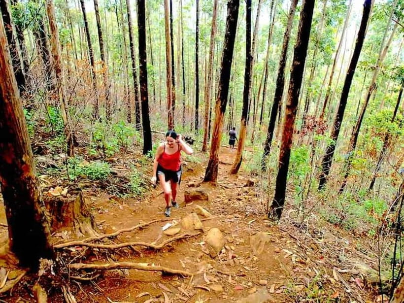 Explore Ella: Rock Hike, Loop, Falls, Nine arch & Train View - A Perfect Fit for One-Base Travelers: Seeing Ella’s Icons Fast