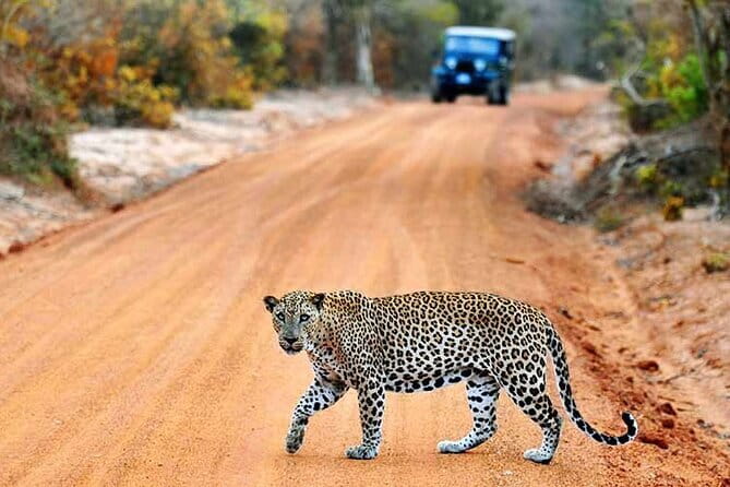 Explore Sigiriya, Kandy,Nuwaraeliya,Galle From Colombo - Horton Plains National Park, 3 hours and a weather check