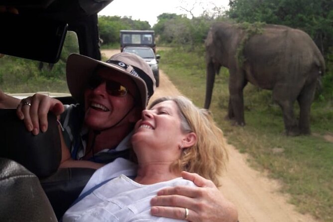 Explore The Beauty Of Udawalawe National Park From South Coast During 01 Day - Elephant Transit Home: milk feeding and how it sets up your safari