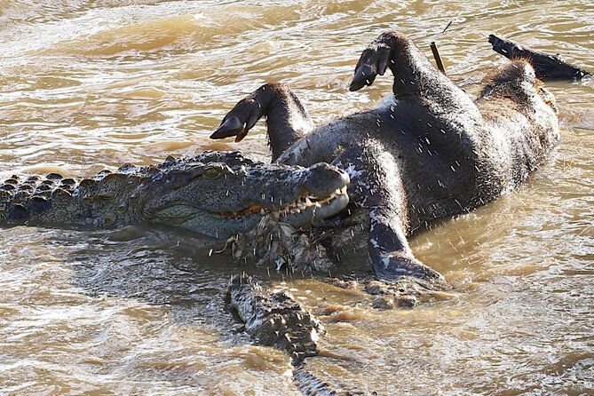 Explore The Beauty Of Udawalawe National Park From South Coast During 01 Day - FAQ