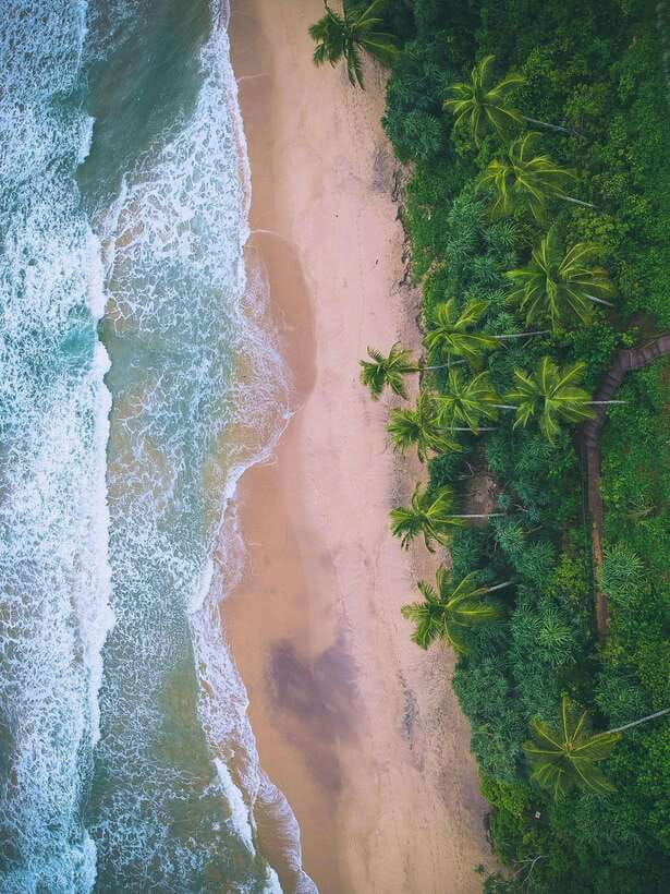 Explore the MAGIC of Sri Lanka in 7days -4 Star hotels Incl. - Day 1: Pidurangala Rock Climb and a Softer Start in Sri Lanka