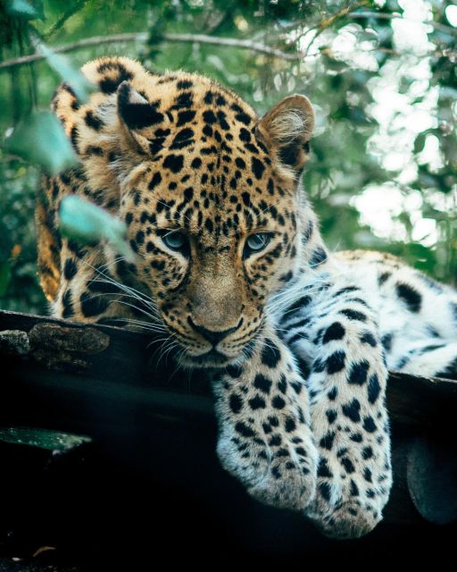 Explore the MAGIC of Sri Lanka in 7days -4 Star hotels Incl. - Price and What You’re Actually Paying For (Plus What’s Extra)