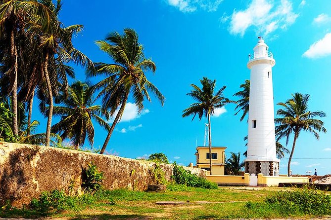 Family-Friendly Private Galle City Tour - Hikkaduwa Turtle Hatchery: seeing conservation work up close