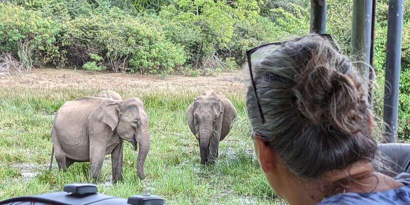 From Arugambay : Yala National Park Safari & Dropoff in Ella - How the guide makes (or breaks) the day