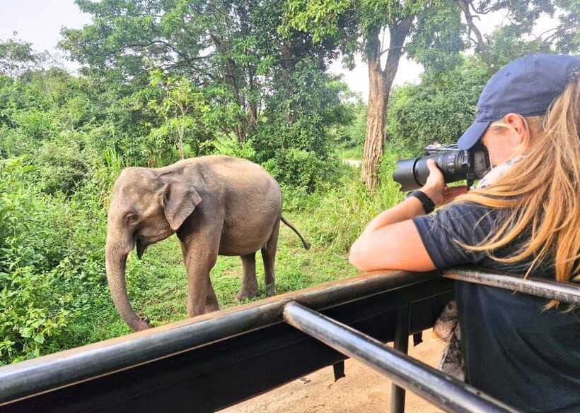 From Bentota: Elephant Transit Camp and Udawalawe Safari - Unawatuna Beach Time and the South Coast Sea Breeze