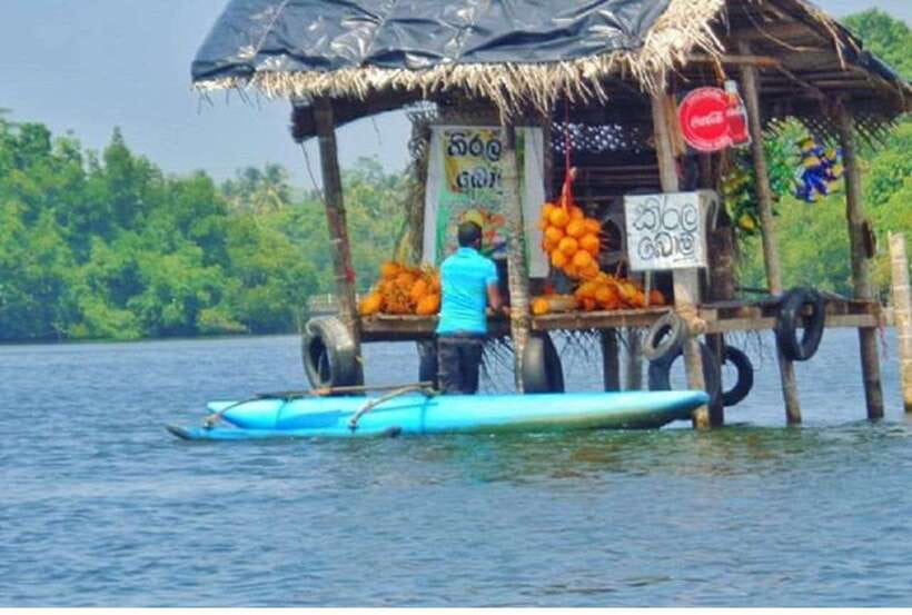From Bentota: Exclusive Madu River Safari & Turtle Hatchery - Value Check: Price, What’s Included, and Who Gets the Best Deal
