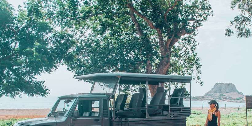 From Bentota: Full-Day Yala National Park Safari Tour - Price and entrance fees: is $105 worth it?