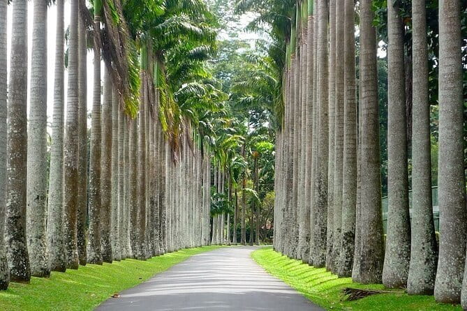 From Colombo Airport to Sigiriya or Kandy Private Transfer - The Drive: A/C Comfort and a Route That Actually Works