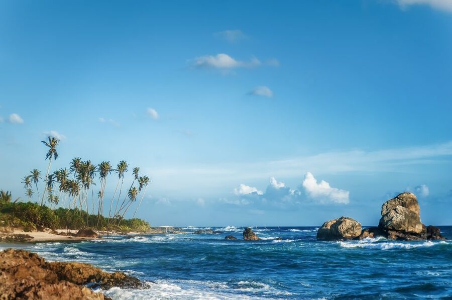 From Colombo: Day Trip to Galle City, Koggala and Unawatuna - Who This Day Trip Fits Best