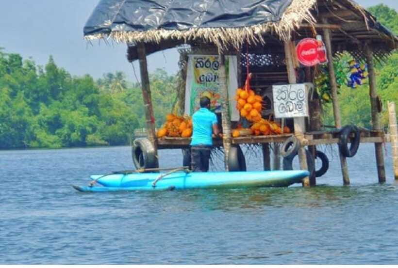 From Colombo: Exclusive Madu River Safari & Turtle Hatchery - Should you book it?