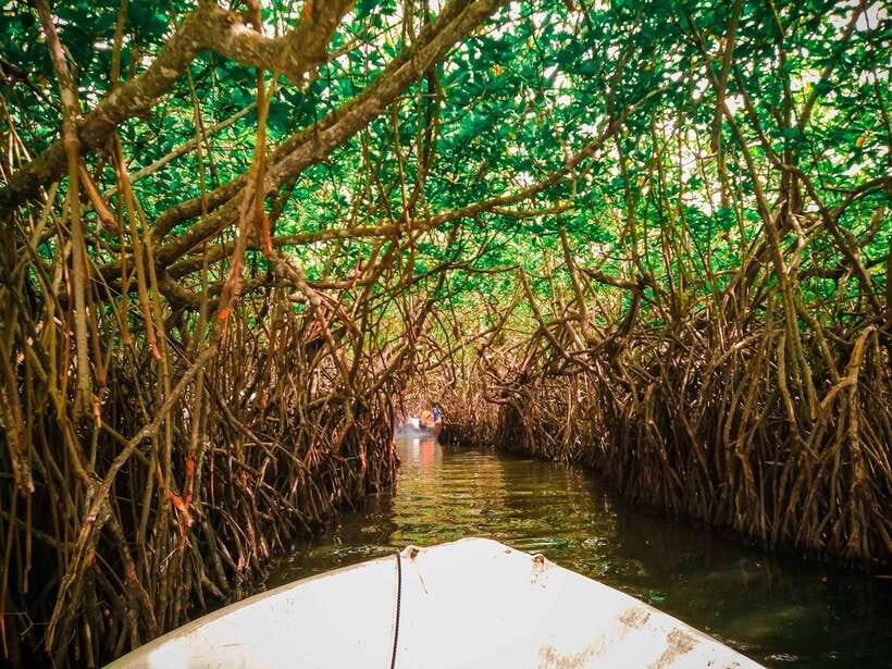 From Colombo: Galle, Bentota Coastal Highlights Private Tour - Balapitiya Lunch and the Madu Ganga River Safari That Feels Like Another Planet