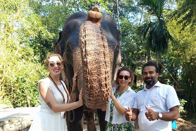 From Colombo: Kandy and Pinnawala Full-Day Trip - Key highlights you actually feel during the day