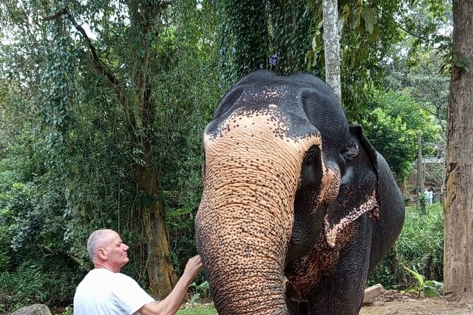 From Colombo: Kandy and Pinnawala Full-Day Trip - Starting in Colombo at 6:00 am: plan your body, not just your schedule