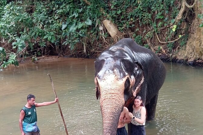 From Colombo: Kandy and Pinnawala Full-Day Trip - Temple of the Sacred Tooth Relic: UNESCO importance with a clear payoff