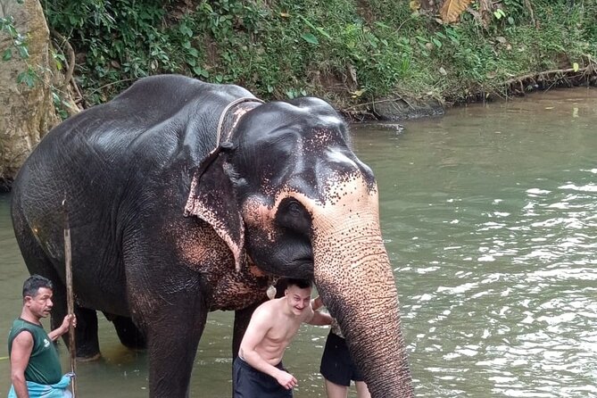 From Colombo: Kandy and Pinnawala Full-Day Trip - Kandy View Point: quick, useful, and worth stopping for