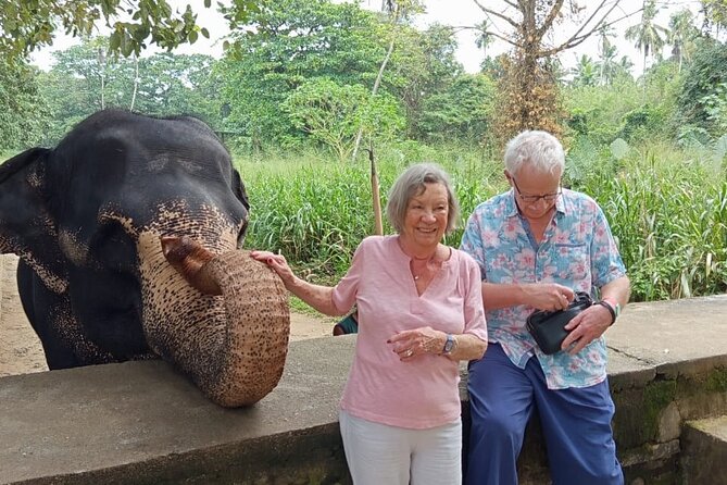 From Colombo: Kandy and Pinnawala Full-Day Trip - Pinnawala Elephant Orphanage: the 2-hour stop that sets the mood