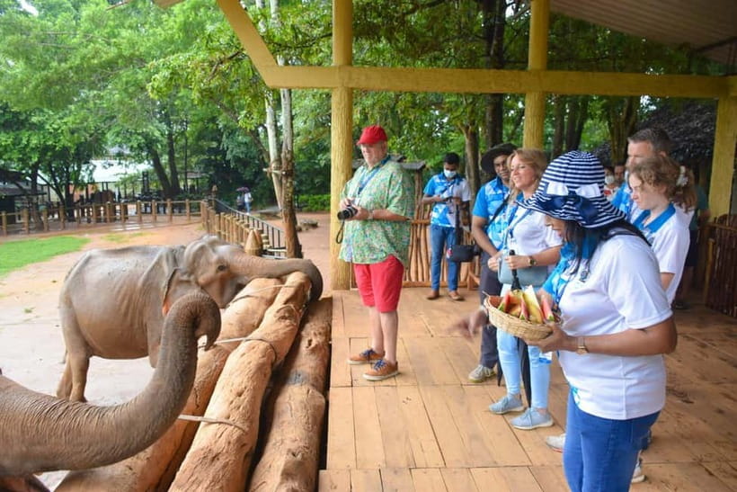 From Colombo: Kandy and Pinnawala Orphanage Short Excursions - Peradeniya Botanical Gardens: the 147-acre break your feet will thank you
