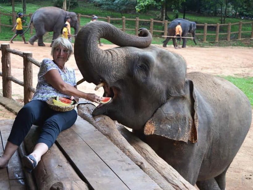 From Colombo: Kandy and Pinnawala Orphanage Short Excursions - Pinnawala Elephant Orphanage: bathing in the river, plus choices and costs