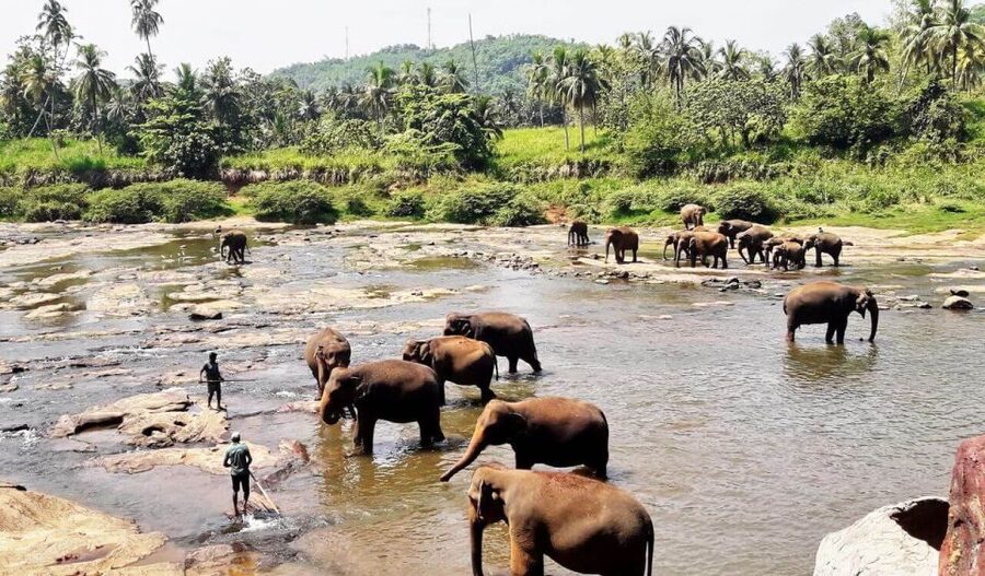 From Colombo: Kandy Full-Day Trip - How long is the day, and what it feels like in practice