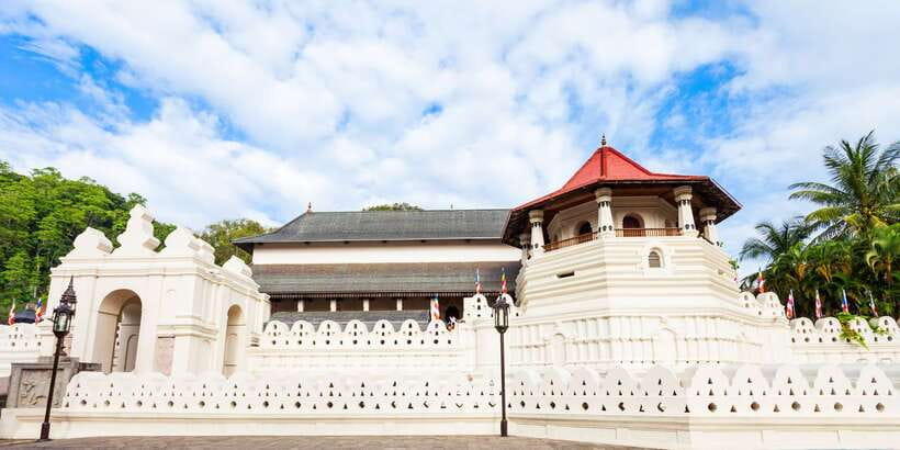 From Colombo: Kandy Full-Day Trip - Geragama tea factory: the tasting you’ll actually remember