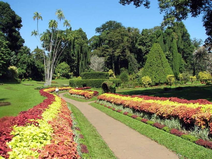 From Colombo: Kandy, Pinnawala and Tea Factory Full-Day Trip - Price and Value: Why $55 Can Be a Smart Deal Here