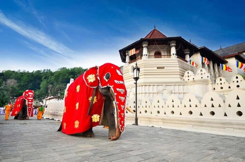 From Colombo: Kandy, Pinnawala and Tea Factory Full-Day Trip - Hotel Pickup, Air-Conditioned Van, and the Reality of a 12-Hour Day