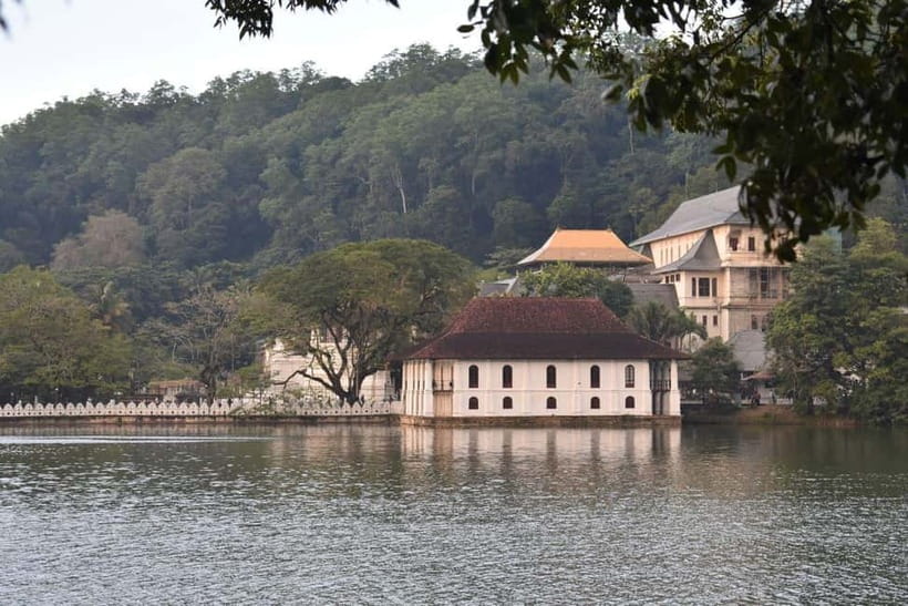 From Colombo: Kandy, Pinnawala and Tea Factory Full-Day Trip - Temple of the Sacred Tooth Relic: UNESCO Power and Dress Rules That Matter
