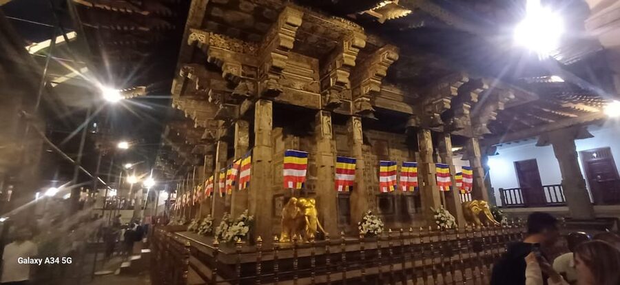 From Colombo: Kandy Temple of Tooth & Elephant Orphanage - Comfort and Timing: The Long-Drive Reality