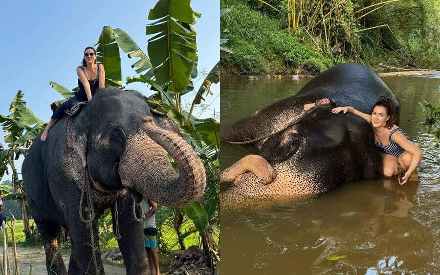 From Colombo: Kandy Temple of Tooth & Elephant Orphanage - Temple of the Tooth: The Gold Roof, the Sacred Relic, the Rules