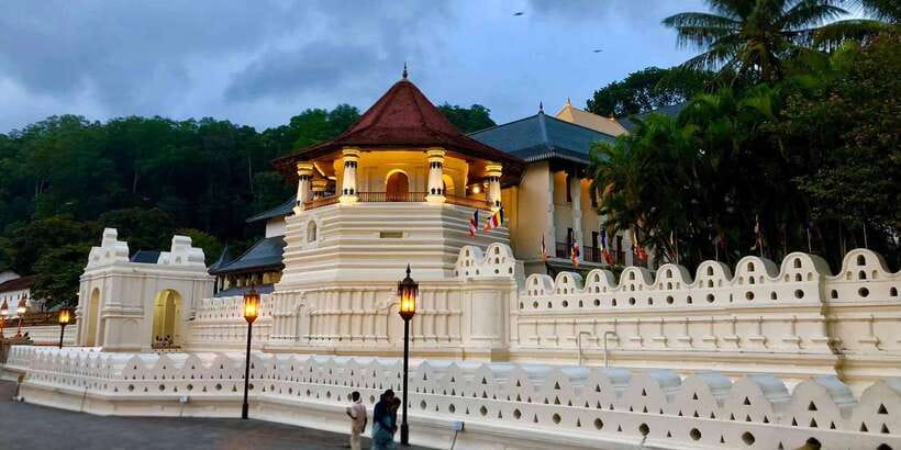 From Colombo: Kandy Temple of Tooth & Elephant Orphanage - Tea Factory Stop and Free Ceylon Tasting