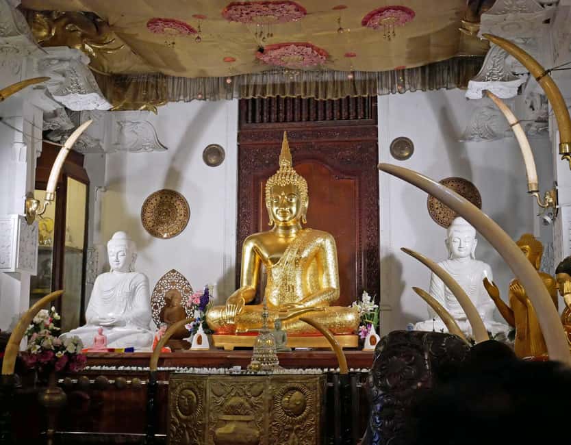 From Colombo: Kandy Temple of Tooth & Elephant Orphanage - Pinnawala Elephant Orphanage: Feeding, Bathing, and a Ride Option