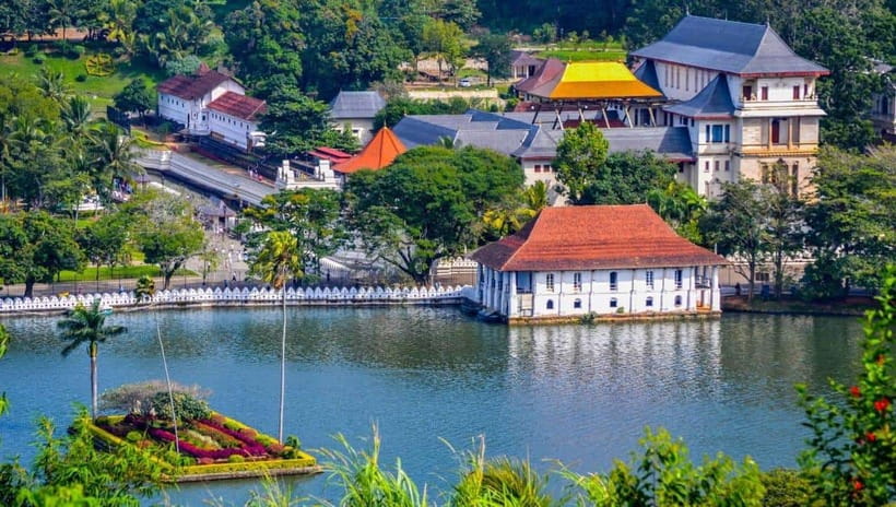 From Colombo: Kandy Temples and Pinnawala Full-Day Tour - 6 key things that make this Kandy day tour work
