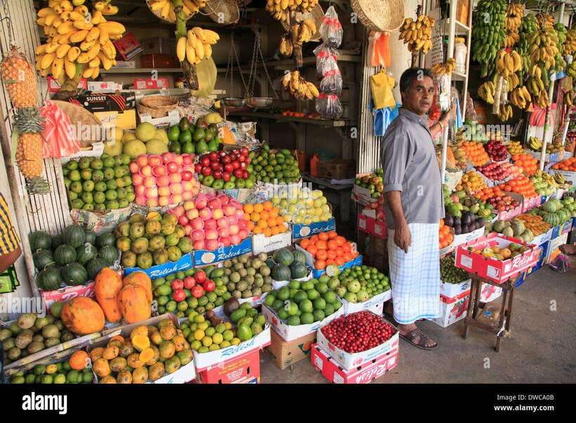 From Colombo: Kandy Temples and Pinnawala Full-Day Tour - From Colombo or Negombo: the 6:30 AM start that shapes the whole day