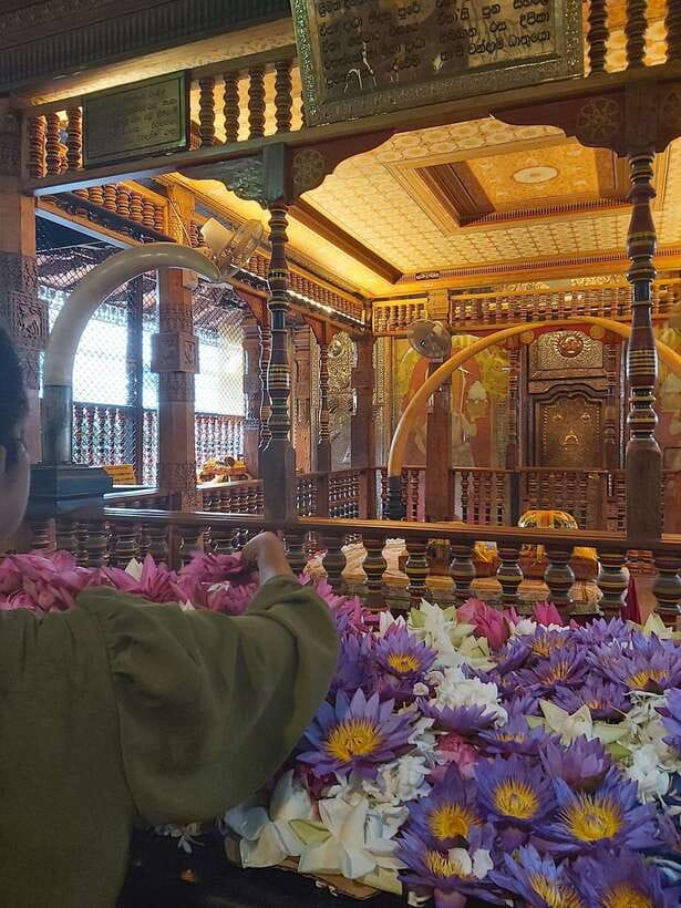 From Colombo: Kandy Temples and Pinnawala Full-Day Tour - Ambepussa breakfast and the value of built-in breaks