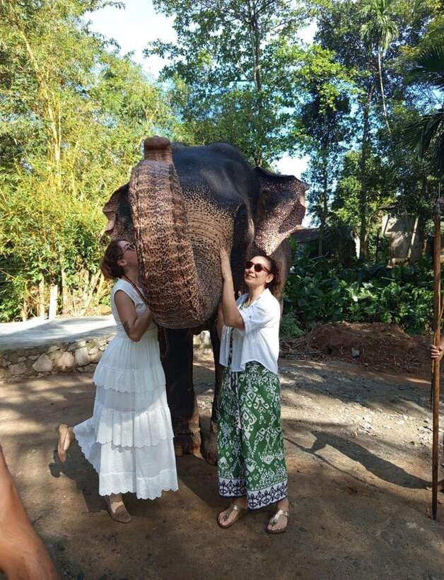 From Colombo or Negombo: Pinnawala, Kandy & Tea Factory Tour - Key highlights to look for
