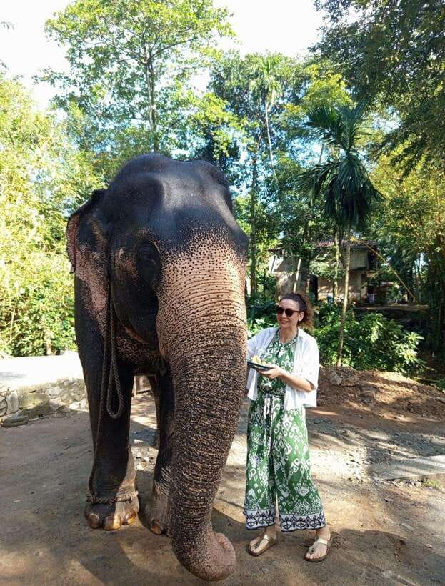 From Colombo or Negombo: Pinnawala, Kandy & Tea Factory Tour - Why Kandy starts before the Sacred Tooth Relic
