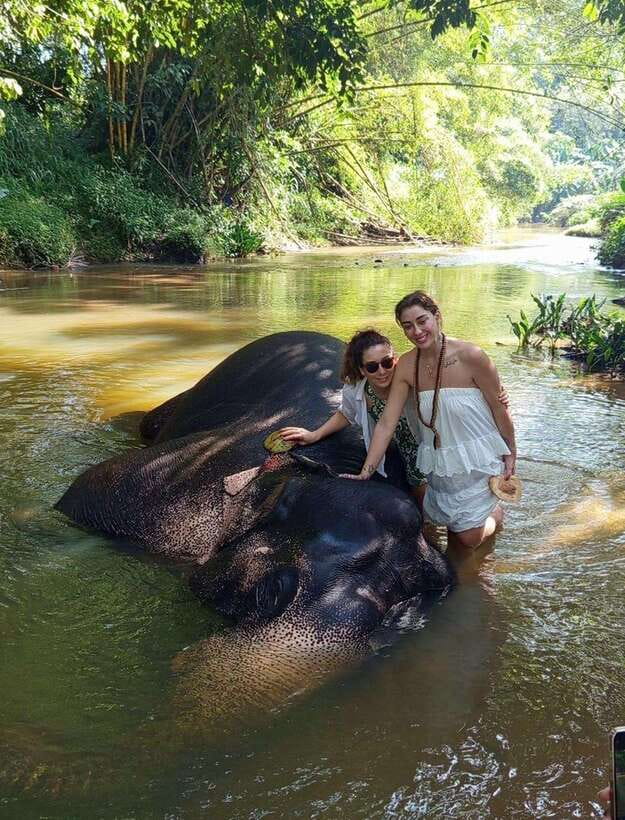 From Colombo or Negombo: Pinnawala, Kandy & Tea Factory Tour - Batik factory stop: souvenir hunting with a creative angle