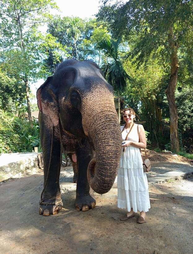 From Colombo or Negombo: Pinnawala, Kandy & Tea Factory Tour - Pinnawala Elephant Orphanage: the river scenes that people remember