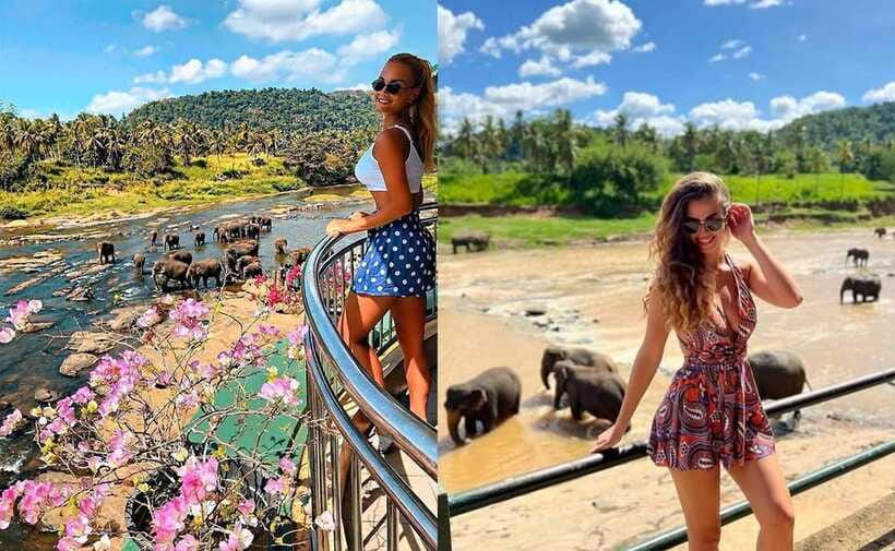 From Colombo: Pinnawala & Tea factory with Kandy Hotel Drop - Who should book this tour, and who should skip