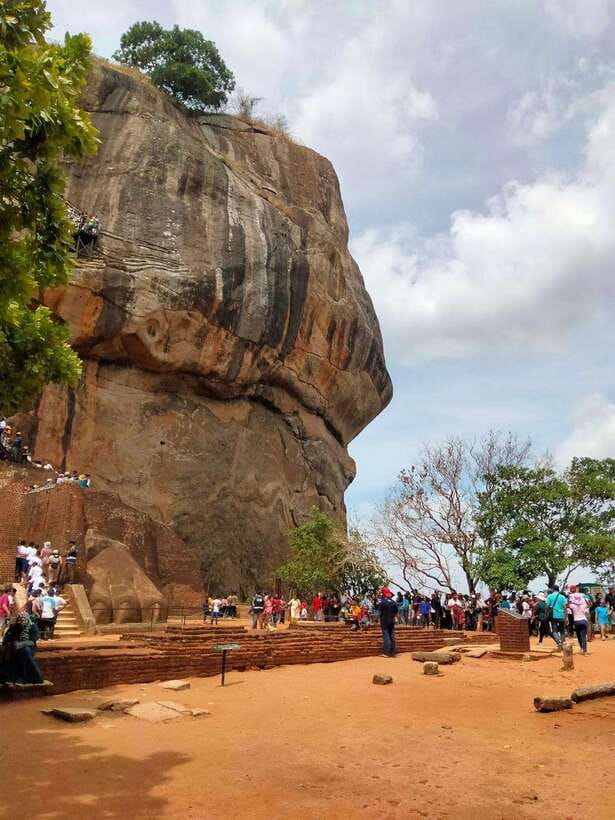 From Colombo: Sigiriya Rock, Dambulla & Minneriya 4x4 Safari - A One-Day Route That Actually Packs Culture Plus Wildlife