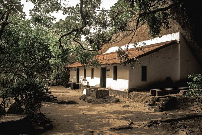 From Colombo to Sigiriya Fortress, Dambulla & Minneriya Safari - Drivers, photo stops, and a calmer private pace