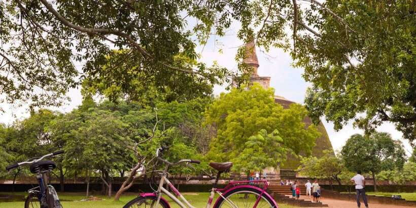 From Dambulla/ Sigiriya: Ancient City of Polonnaruwa by Bike - The Polonnaruwa bike route, and why it works