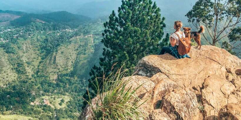 From Ella- All inclusive Day Trip of 8 Iconic Sights & Train - The guide makes or breaks the day