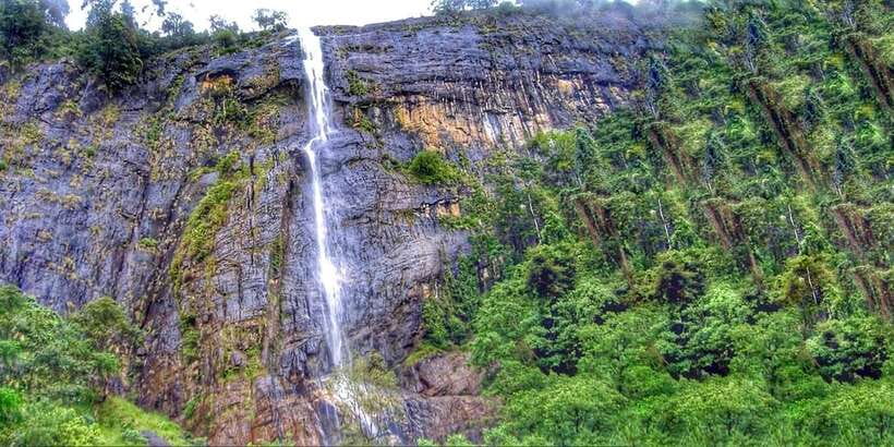 From Ella: Diyaluma Falls Full-Day Tour with Lunch - Diyaluma Falls swimming time: the pools are the point