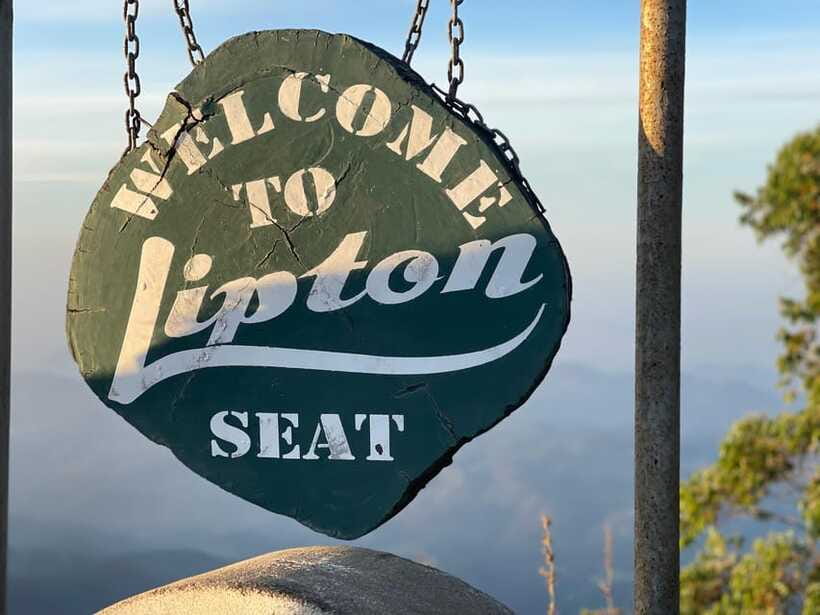 From Ella: Lipton Seat & Dambatenne Tea Factory Day Tour - Ella Tea Day Tour: how the timing and route actually feel